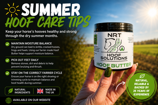 Summer Hoof Care Tips: Protecting Your Horse's Hooves During Dry Weather