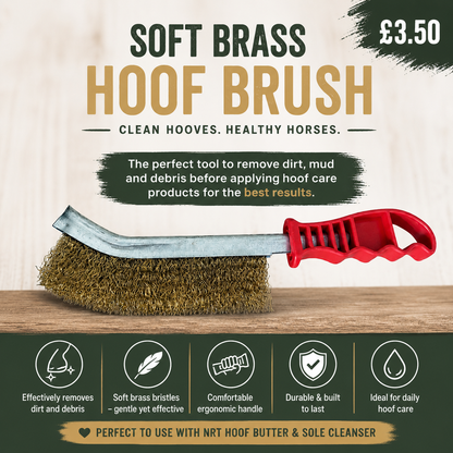 Soft Brass Hoof Cleaning Brush