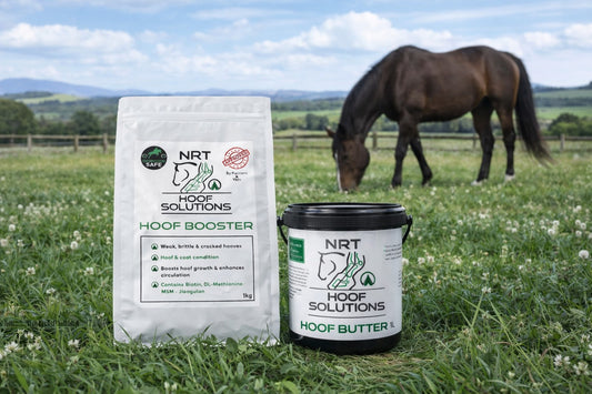 Ultimate Hoof Care Bundle