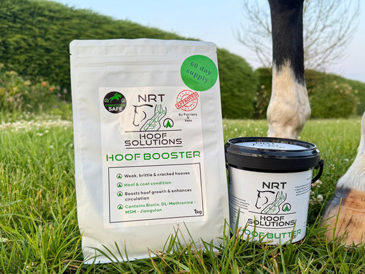 Ultimate Hoof Care Bundle